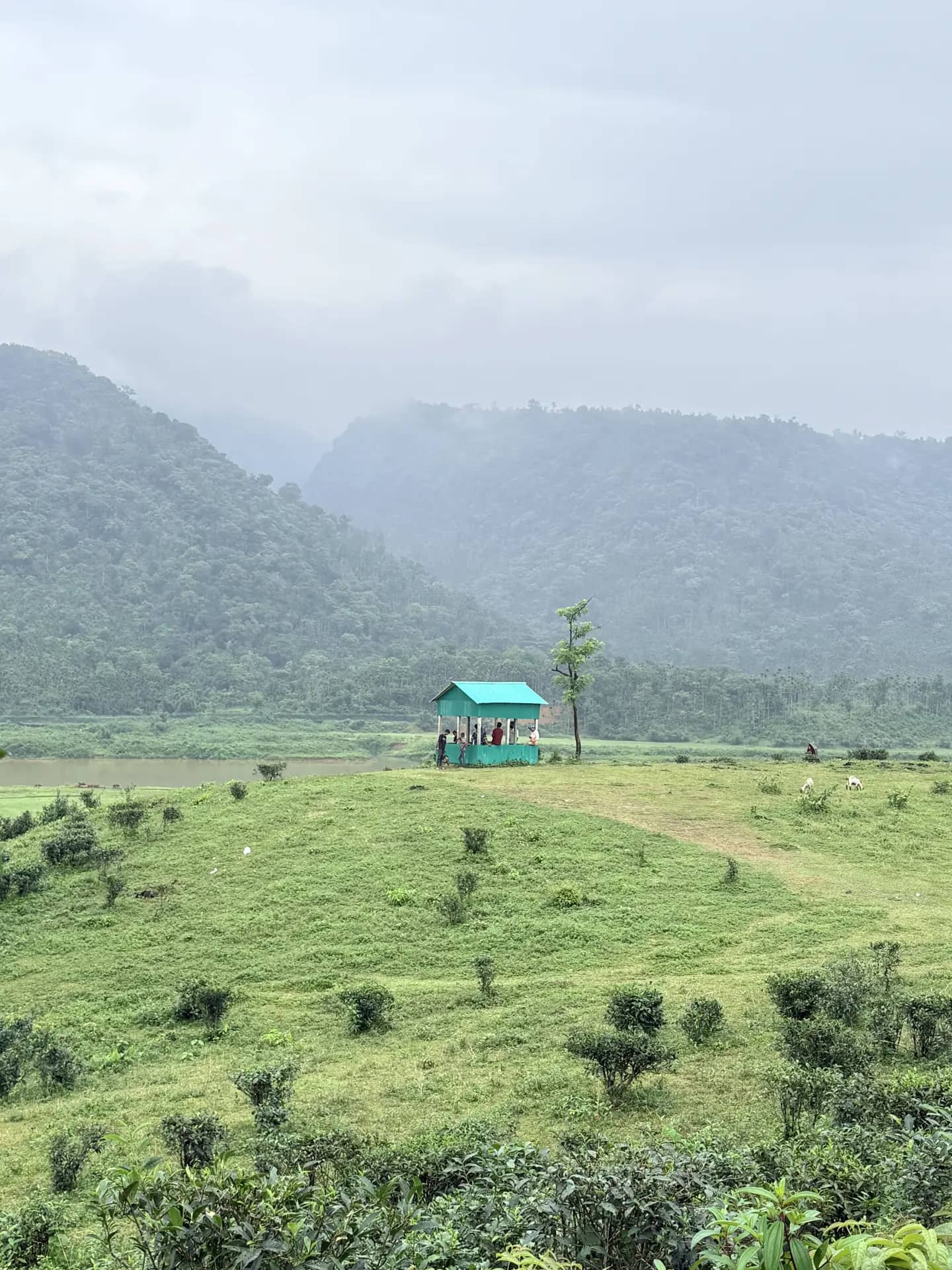জৈন্তাপুরের টিলা থেকে মেঘালয়ের পাহাড়