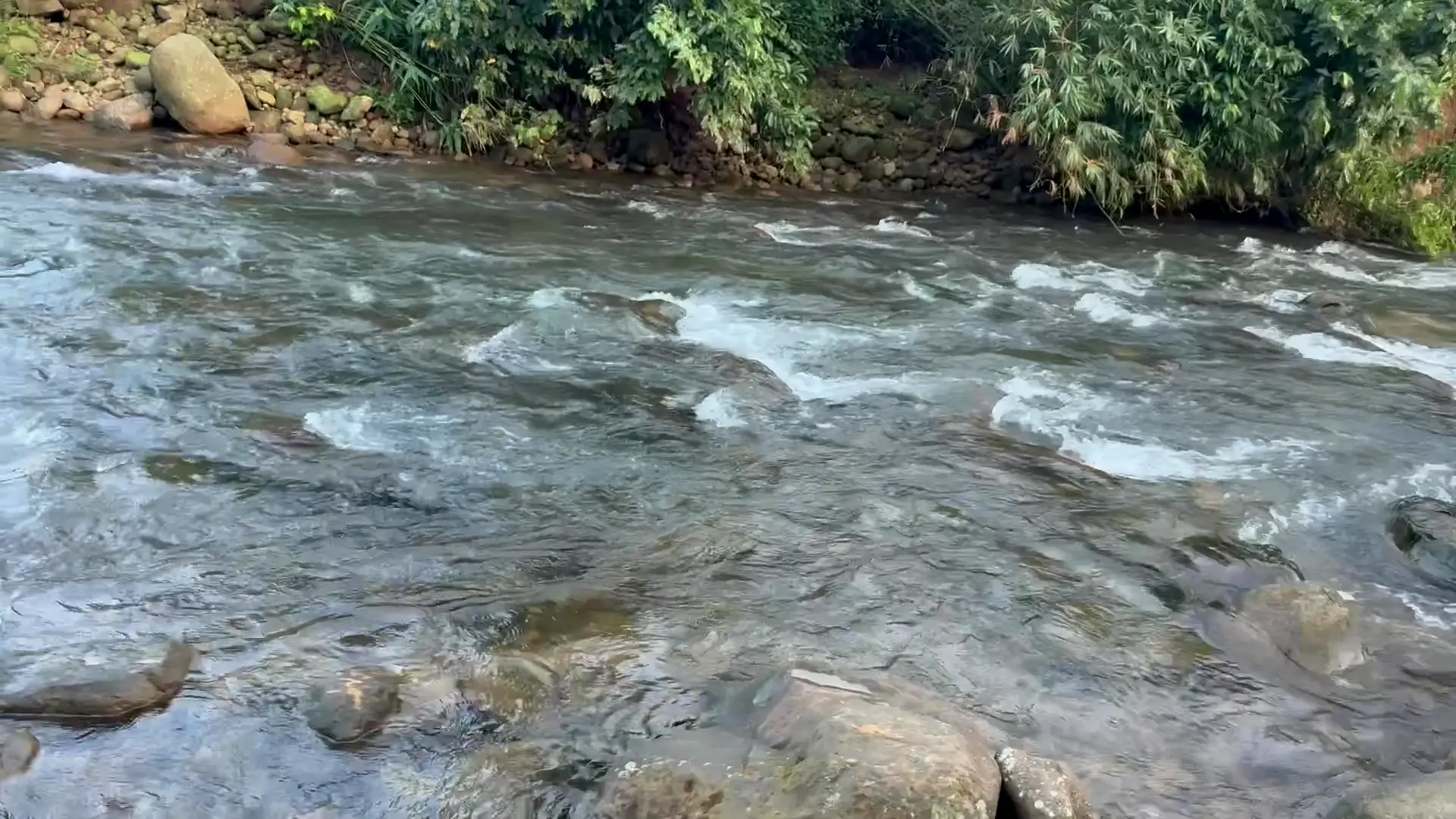 তুরুংছড়ার পাথুরে স্রোত